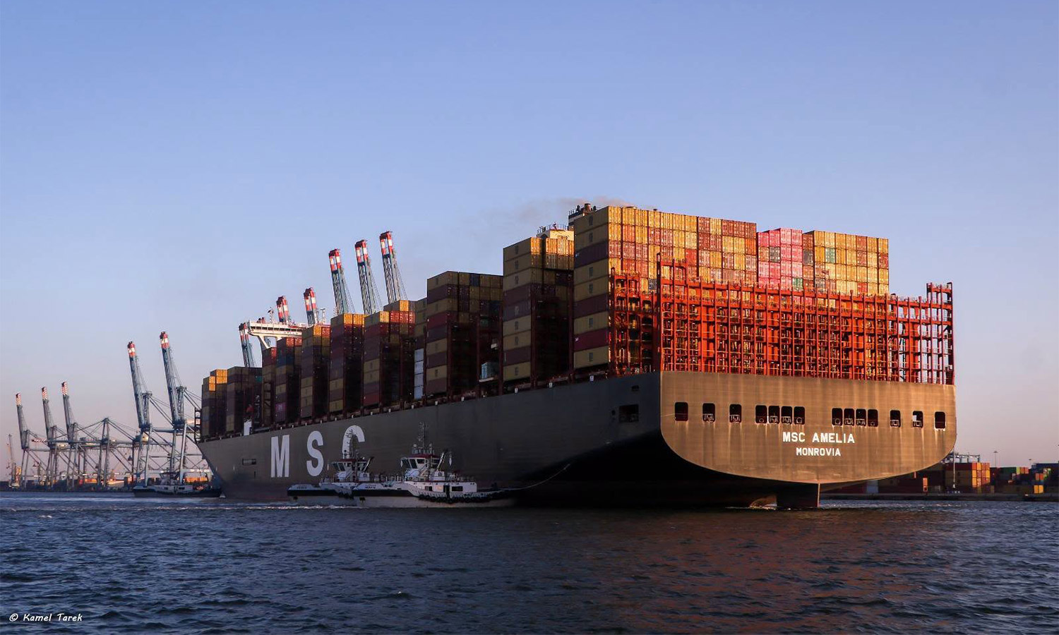 Damietta Port hits record-breaking cargo volume in 2025/26 annual run