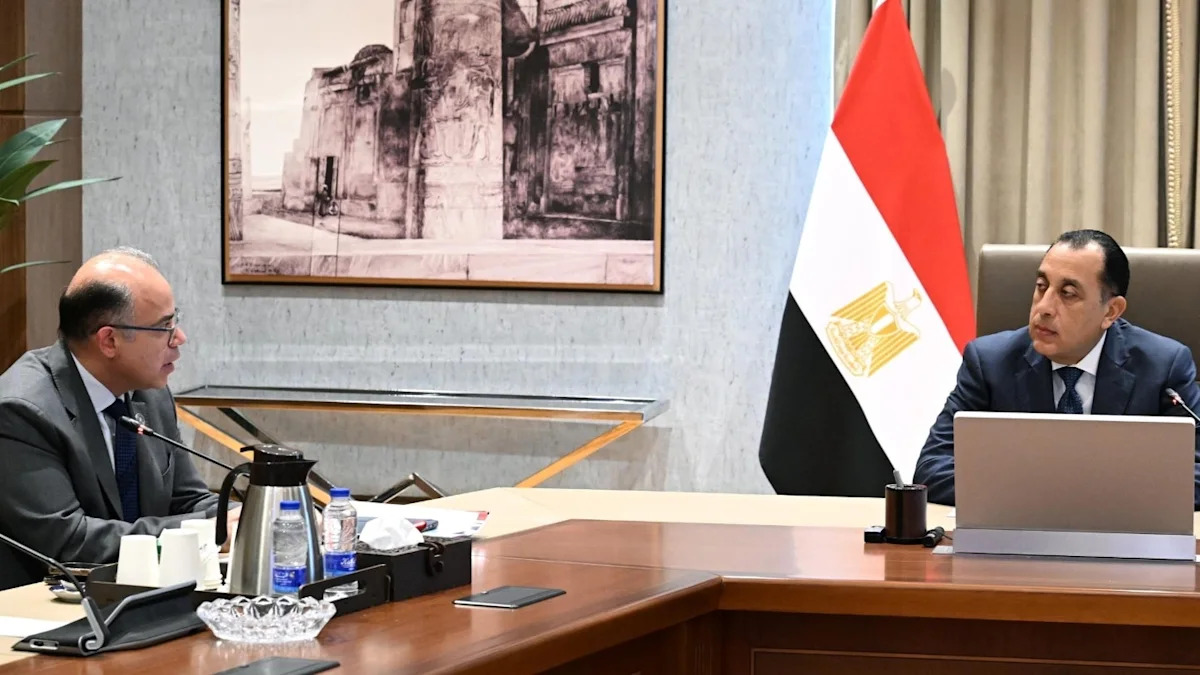 Egypt&rsquo;s PM calls FDI essential to reform and sustainable development